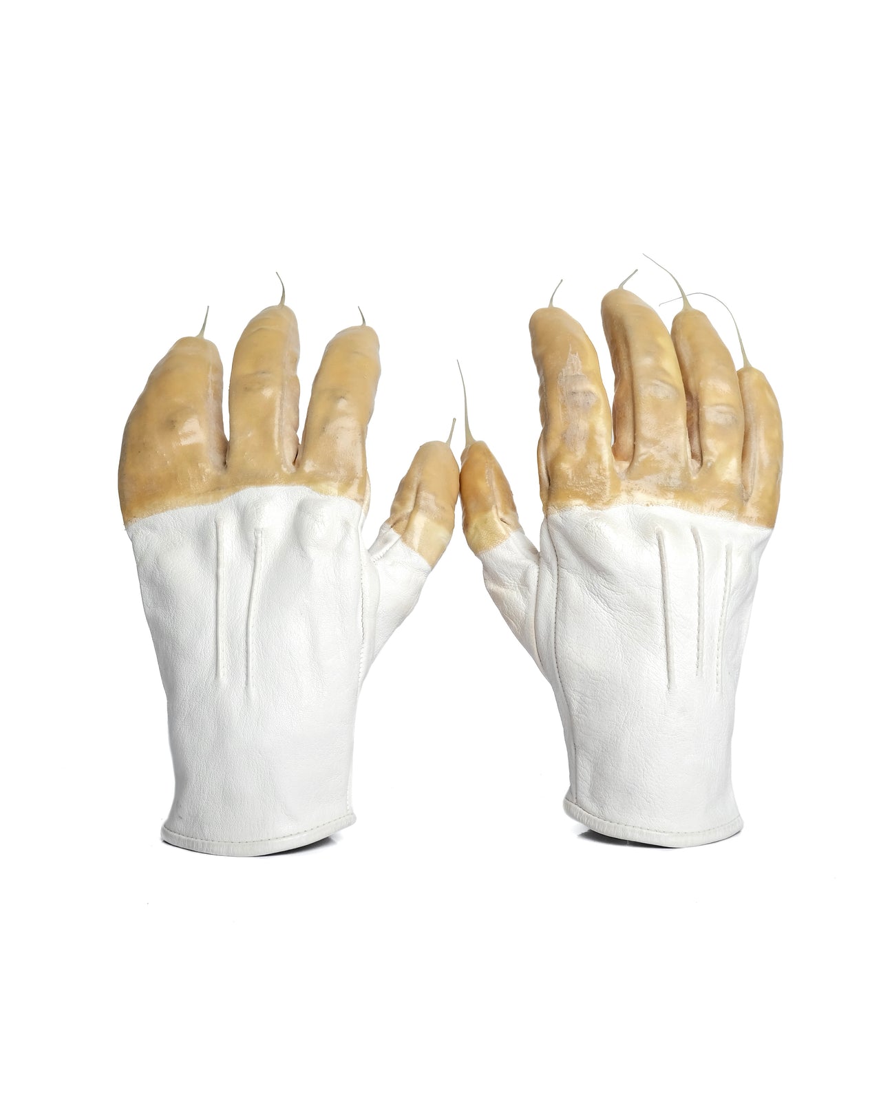 Carol Christian Poell